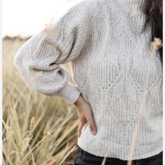 LUSH Turtleneck Sweater - Picture 2 of 6